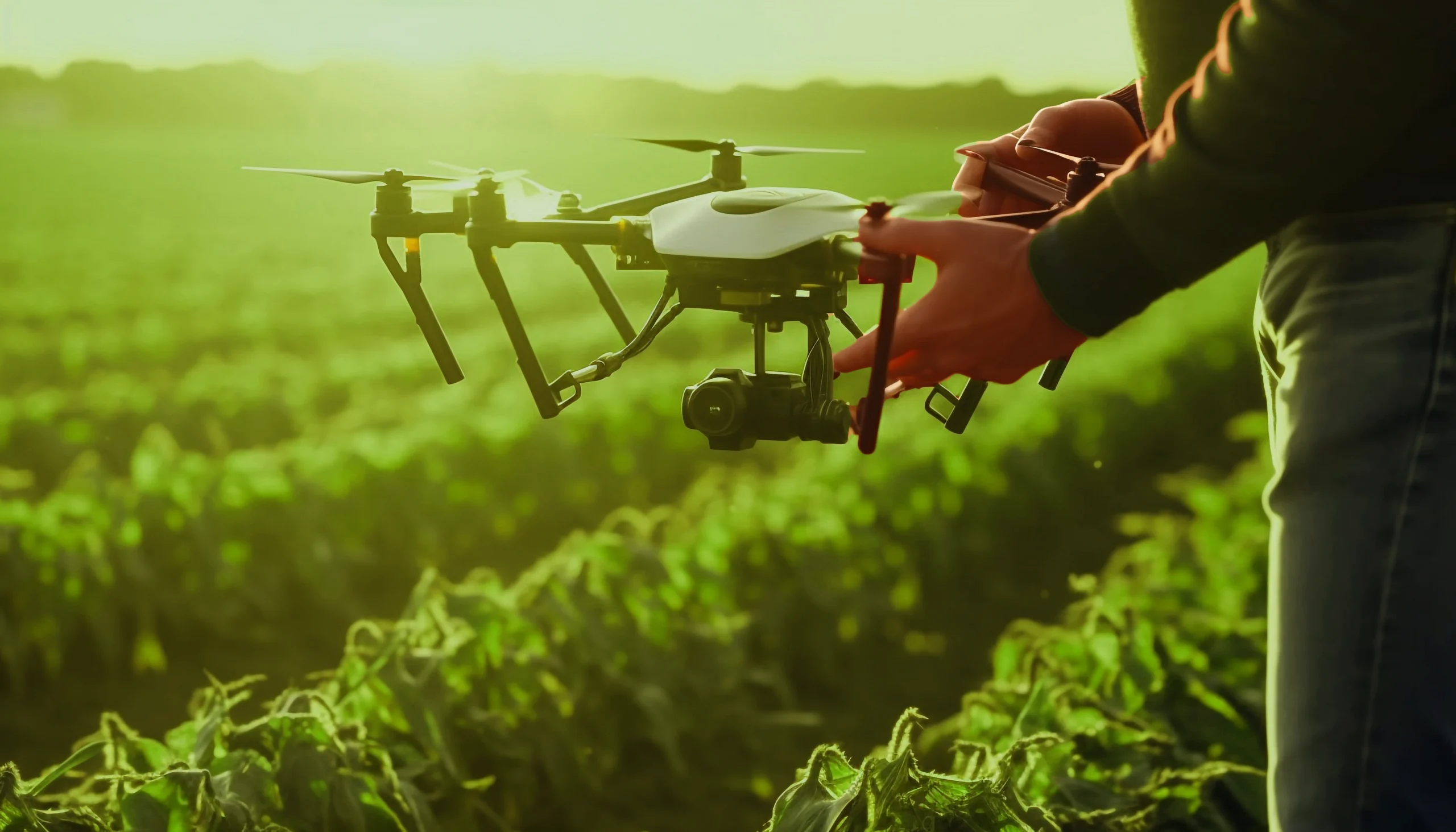 uomo tiene un drone immerso nella natura