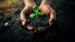 Sostenibilità: Italtel ottiene ISO 14064